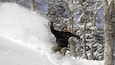 A person snowboarding down a snowy slope with trees in the background.