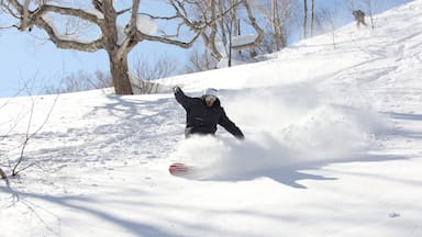 Appi Kogen Ski Resort showing snowboarding and snow as well as an individual male