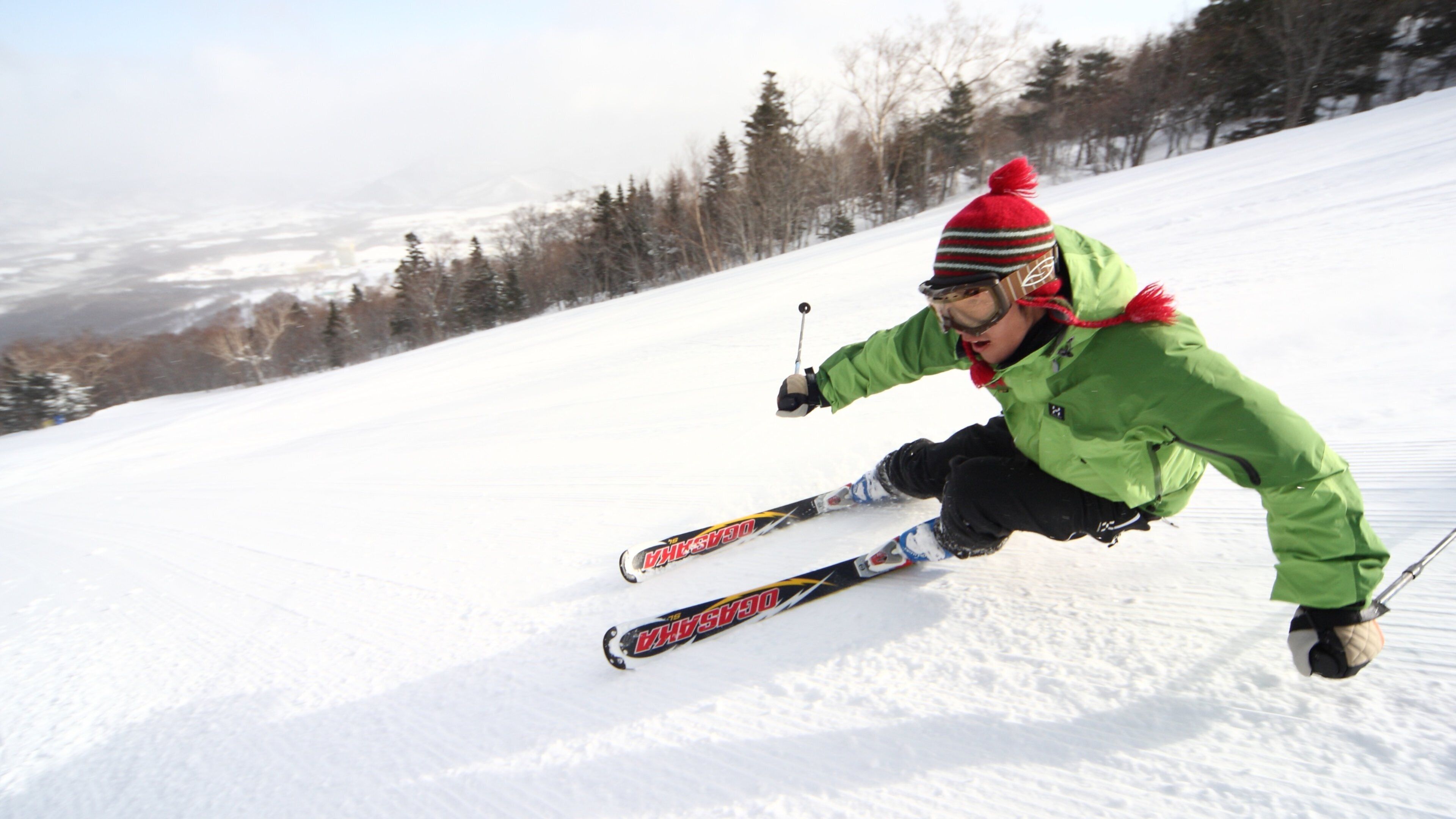 A person skiing down a snowy slope with trees in the background.