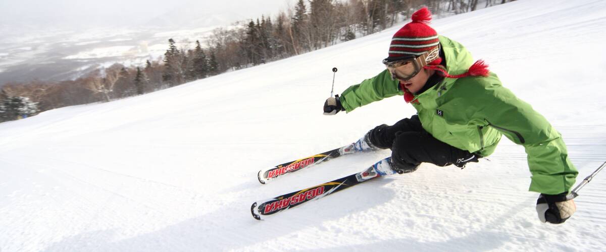 A person skiing down a snowy slope with trees in the background.