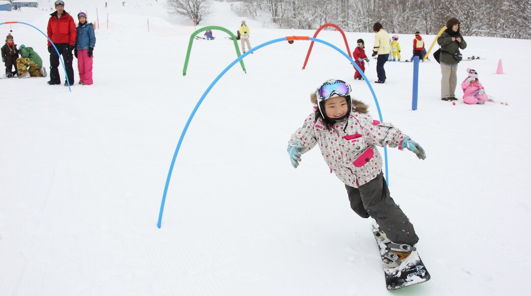 Appi Kogen Ski Resort which includes snowboarding and snow as well as an individual child