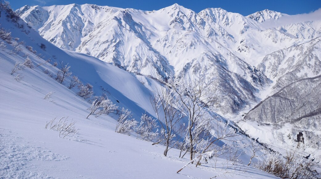 Àrea d'Esquí Hakuba Happo-One