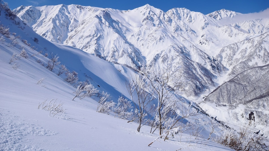 Happo-One-skigebied van Hakuba