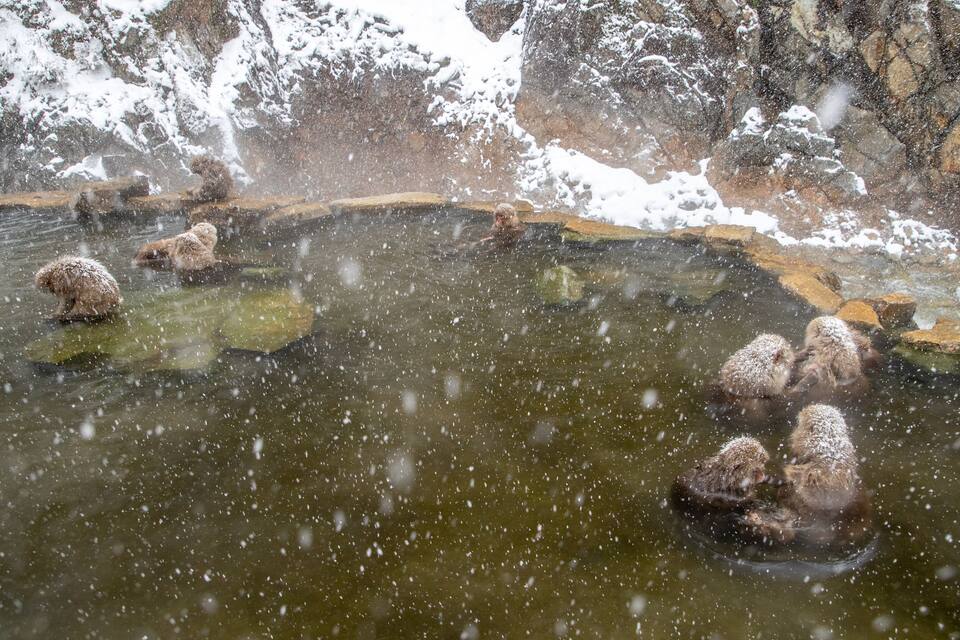 A snowy outdoor scene with a pond and rocks.