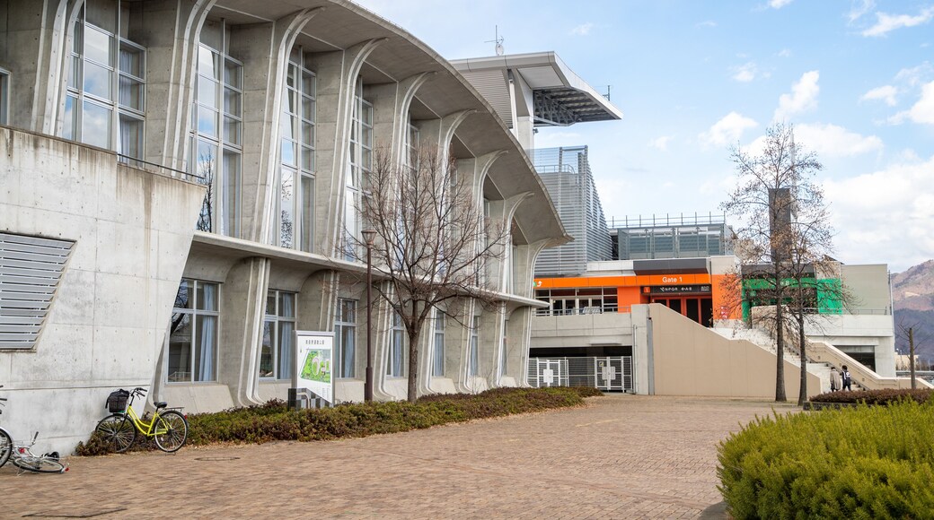 Nagano Olympic Stadium