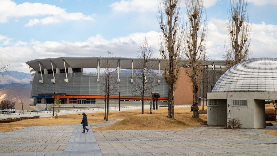 Nagano Olympic Stadium