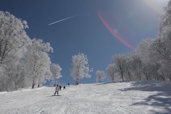 A snowy landscape with trees and a clear sky.