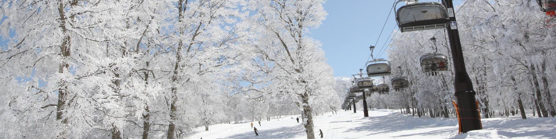 Nozawa Onsen Snow Resort featuring snow and a gondola