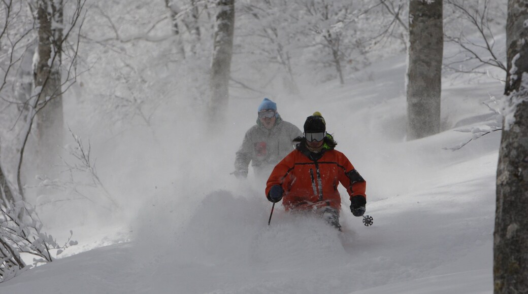 Nozawa Onsen Sneferiested som omfatter skiløb og sne