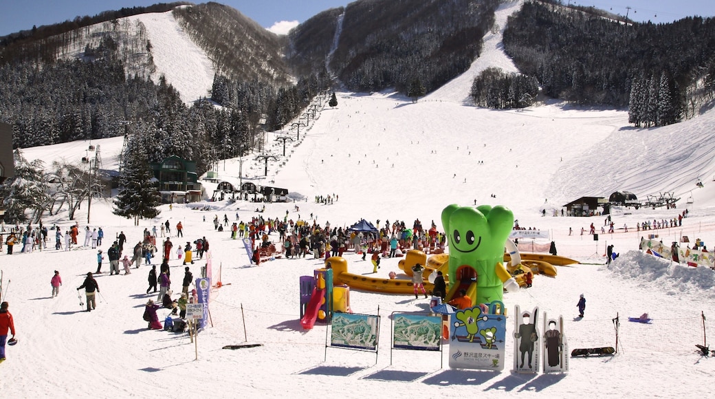 Nozawa Onsen Snow Resort which includes snow and a luxury hotel or resort as well as a large group of people