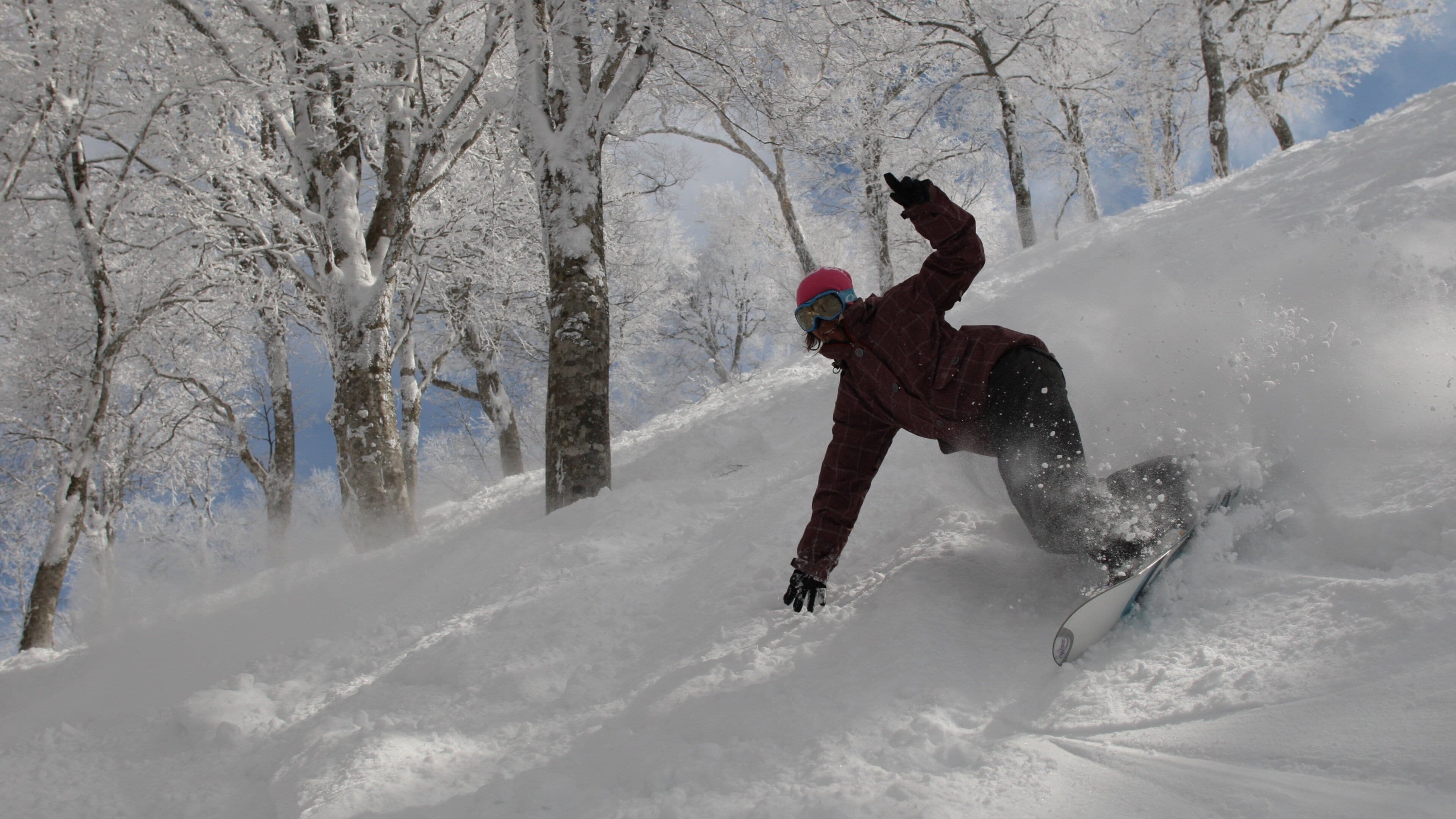 Nozawa Onsen Sneferiested som omfatter snowboarding og sne