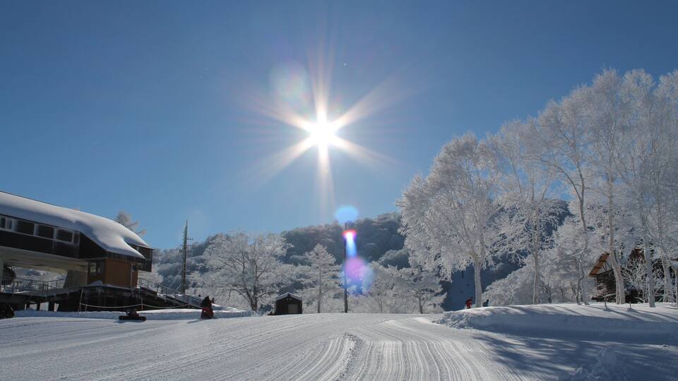A snowy landscape with a bright sun, snow-covered trees, and a building with a snow-covered roof.