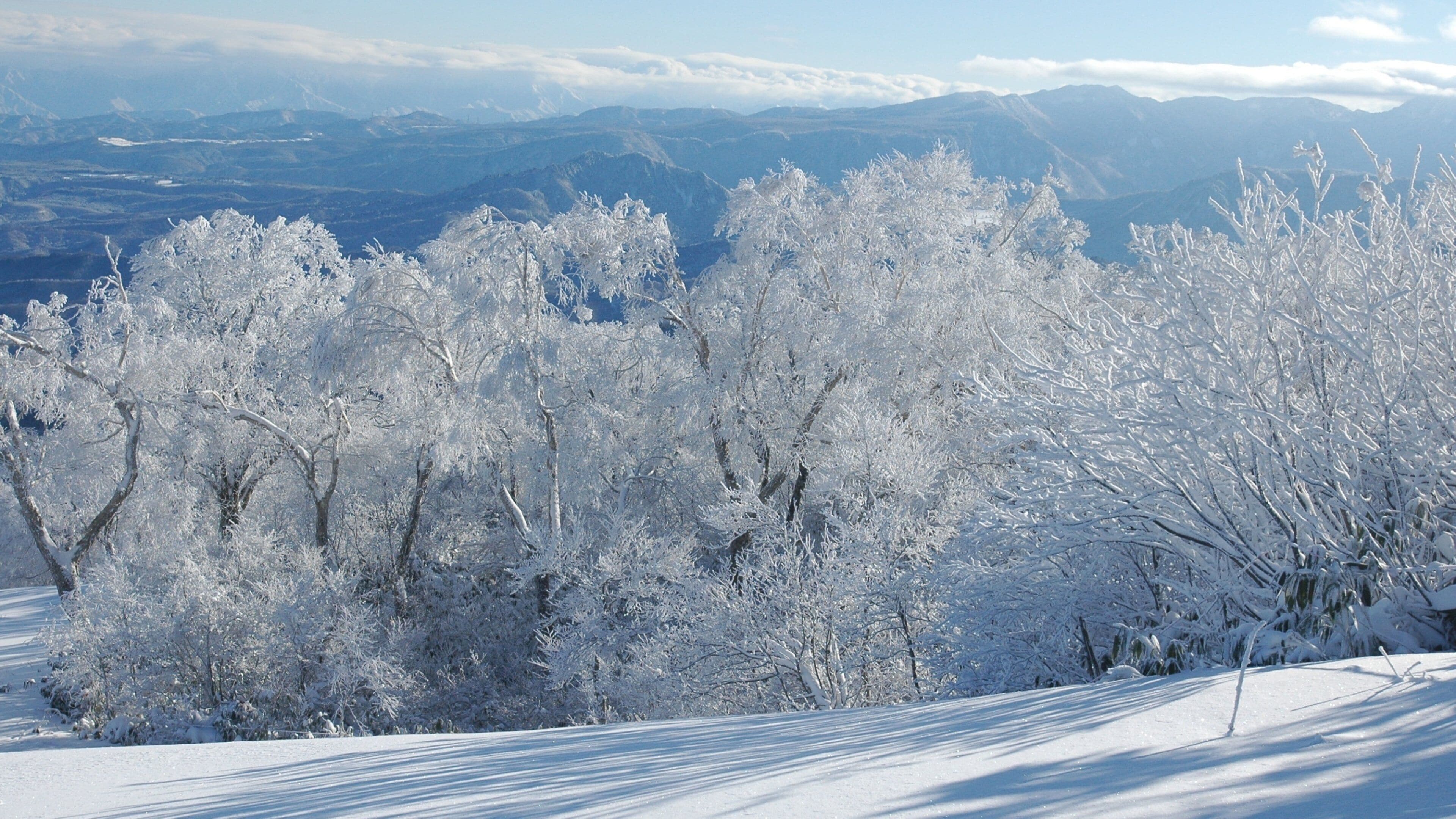 Nozawa Onsen Snow Resort showing snow and landscape views
