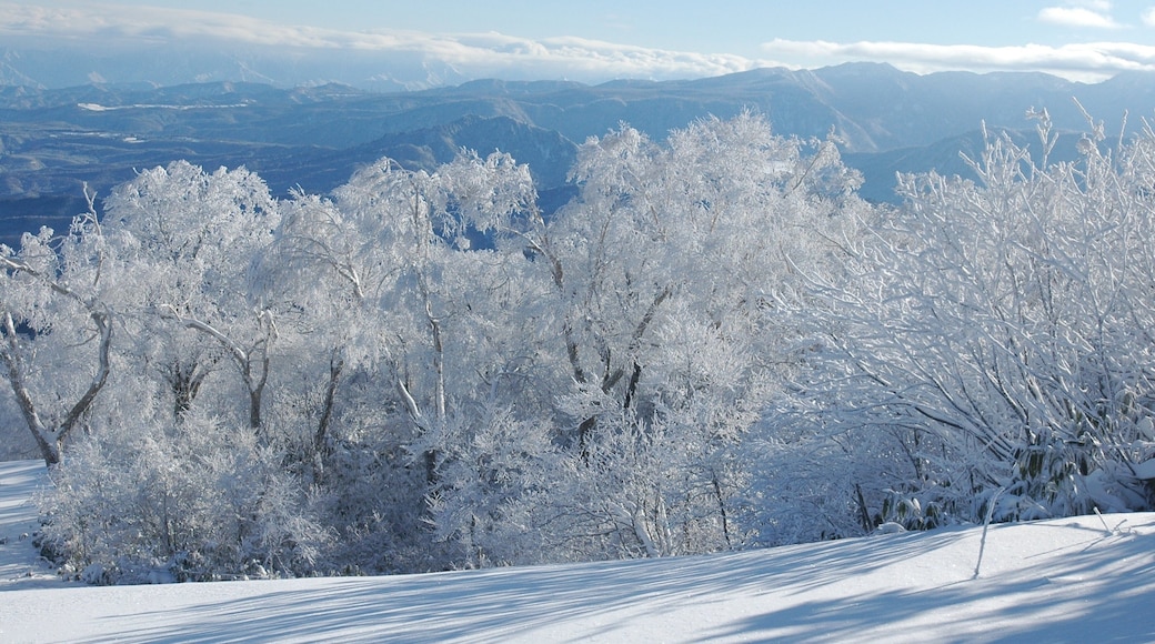 Nozawa Onsen Snow Resort showing snow and landscape views