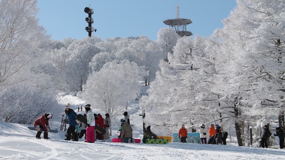 Nozawa Onsen Snow Resort which includes snow and snow boarding as well as a large group of people