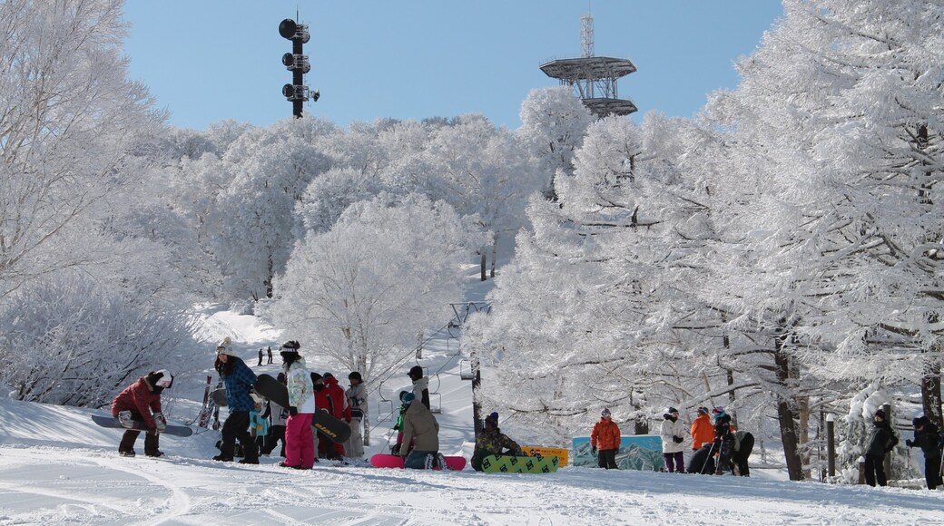 Nozawa Onsen Snow Resort which includes snow and snow boarding as well as a large group of people