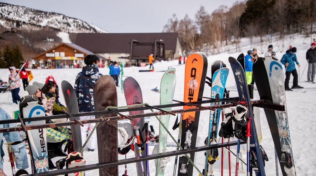 Shiga Kogen Ski Area featuring snow skiing and snow