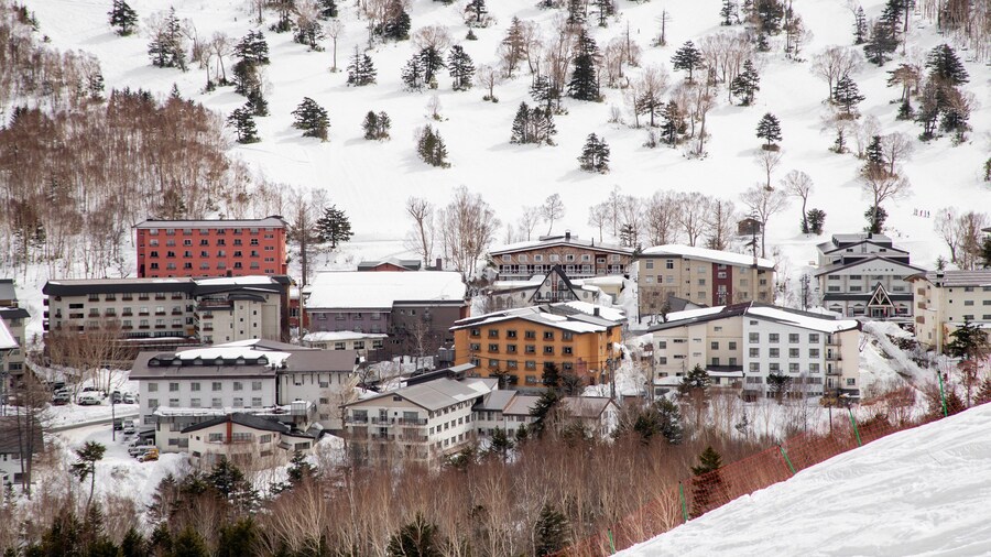 Shiga Kogen Ski Area featuring a small town or village, snow and landscape views