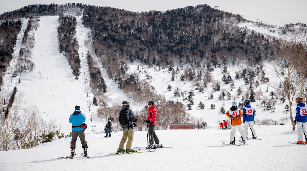 Shiga Kogen Ski Area showing mountains, snow and snow skiing