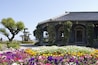 A traditional building with a tiled roof, surrounded by a vibrant flower garden.