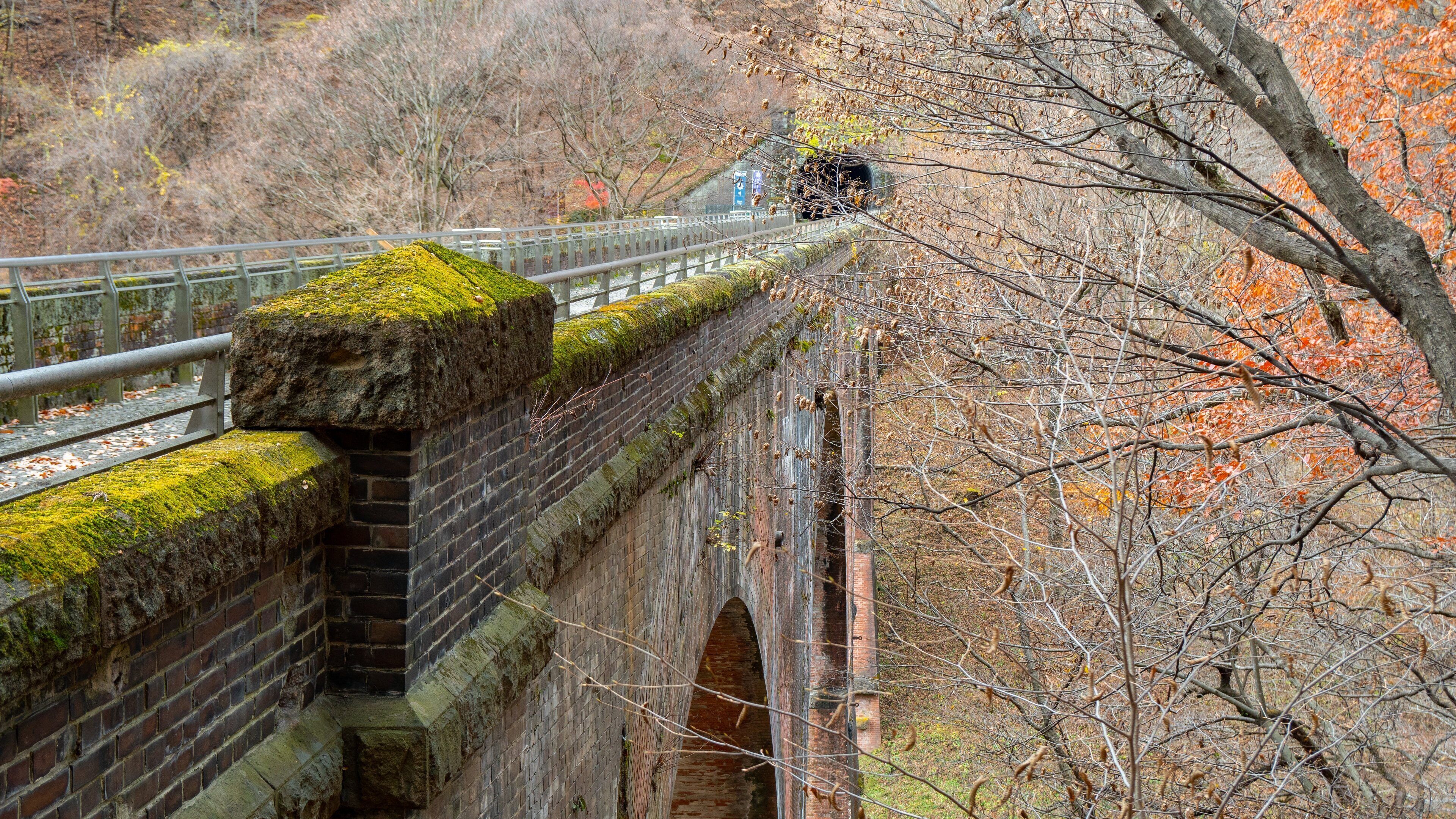 St Maarten and St Martin showing a bridge and forests