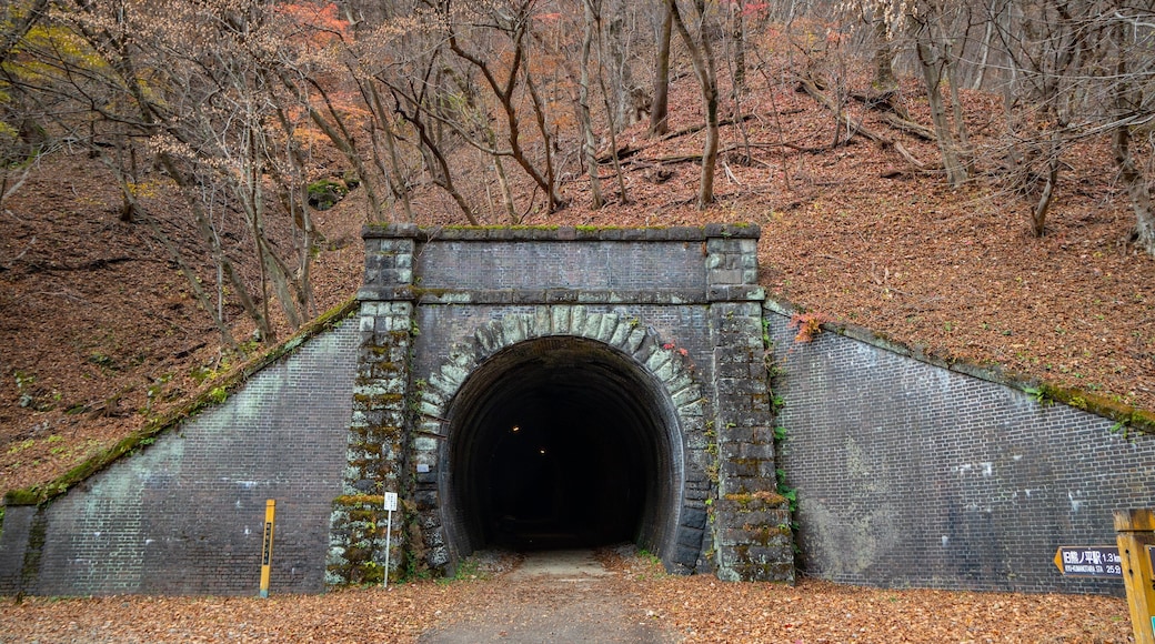 St Maarten and St Martin featuring forests