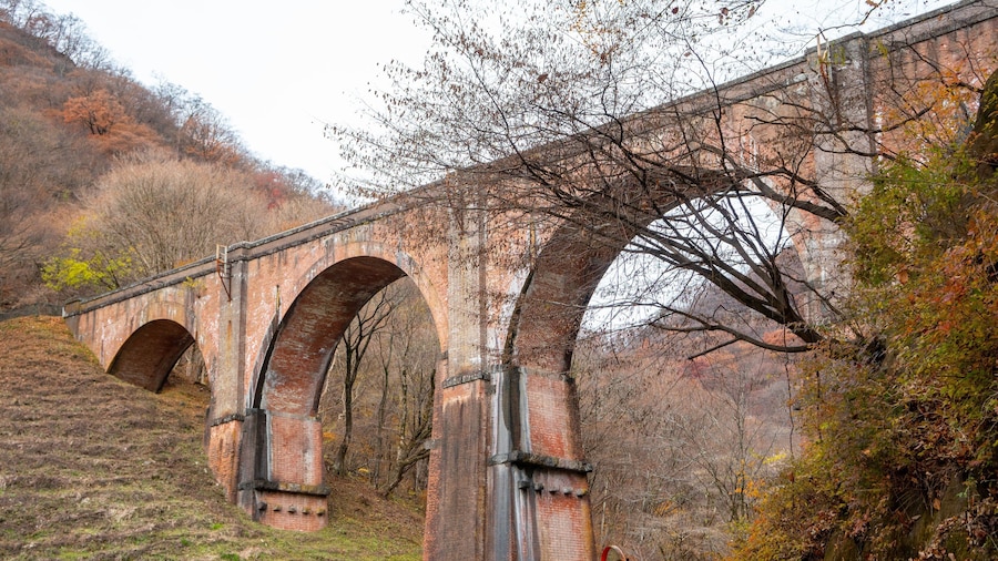 St Maarten and St Martin showing tranquil scenes and a bridge