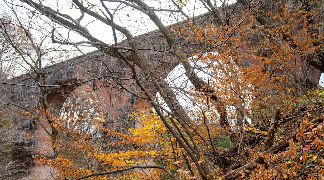 Karuizawa which includes autumn leaves, forests and a bridge