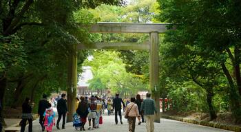 Atsuta Jingu Shrine showing a park and street scenes as well as a large group of people