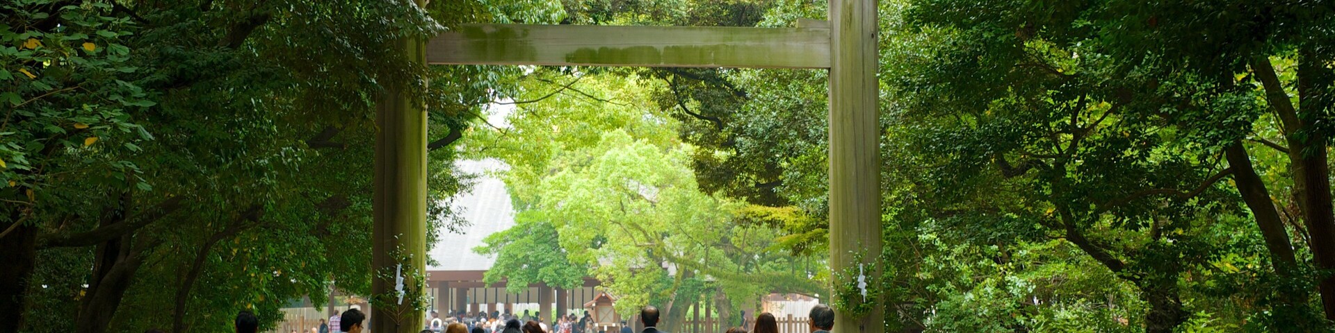 Atsuta Jingu Shrine showing a park and street scenes as well as a large group of people