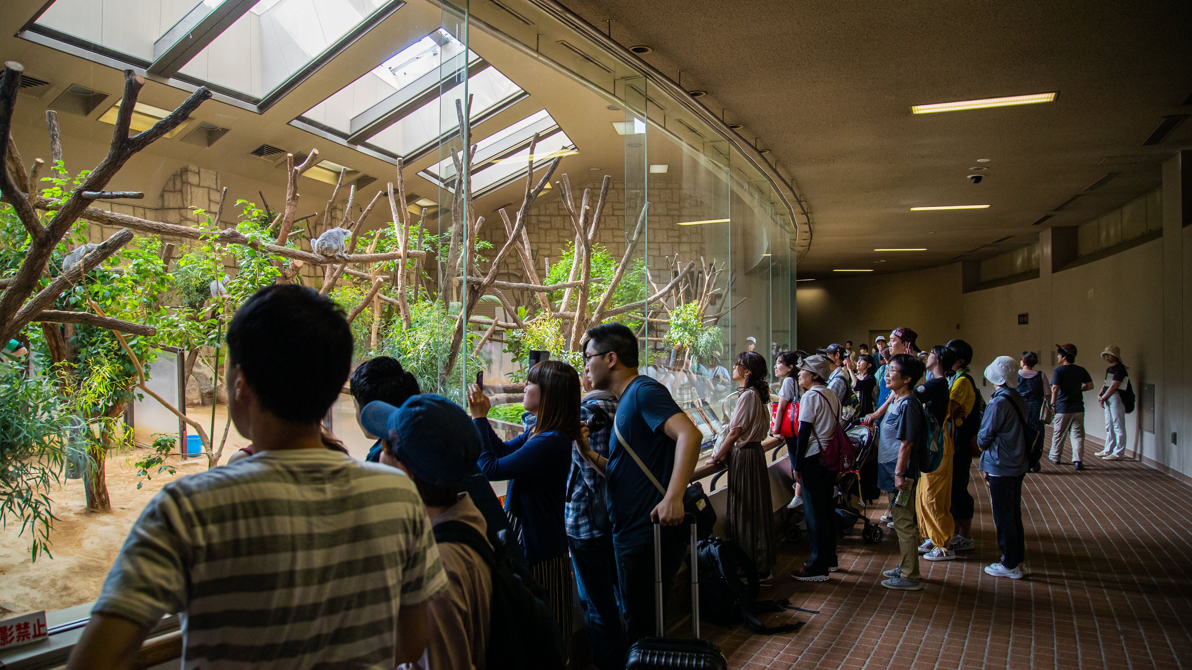 Higashiyama Zoo and Botanical Garden featuring interior views and zoo animals as well as a large group of people