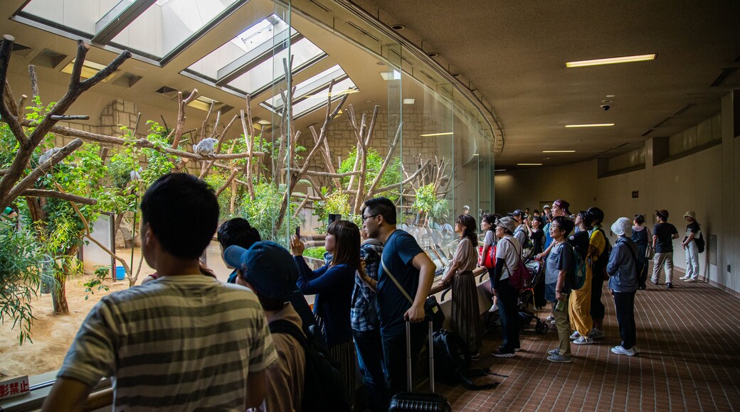 Higashiyama Zoo and Botanical Garden featuring interior views and zoo animals as well as a large group of people