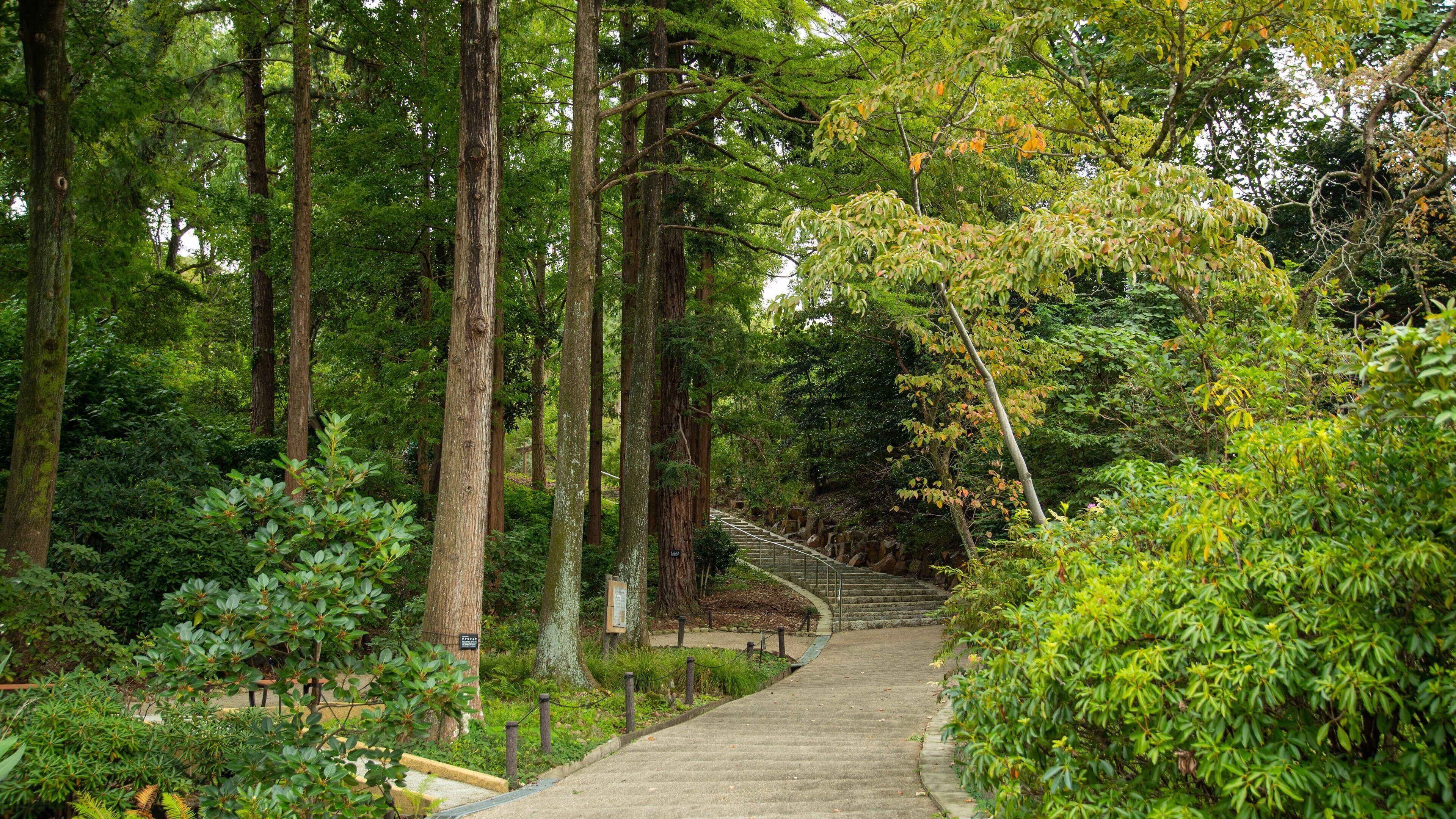 Higashiyama Zoo and Botanical Garden showing forests and a garden