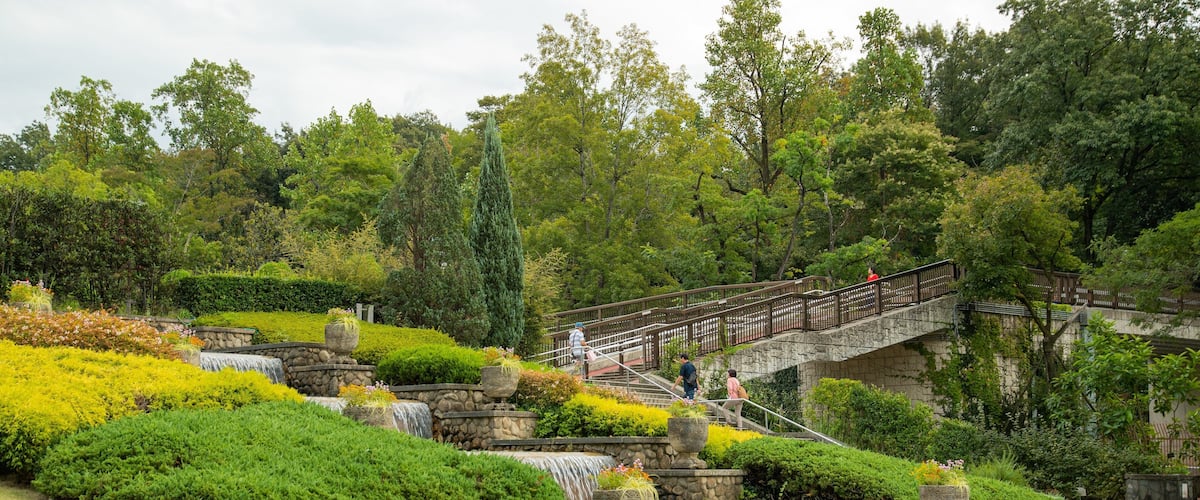 Higashiyama Zoo and Botanical Garden showing a park and a fountain