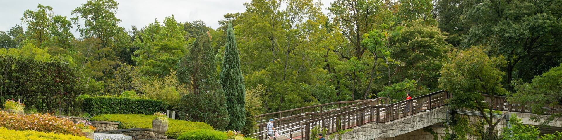 Higashiyama Zoo and Botanical Garden showing a park and a fountain