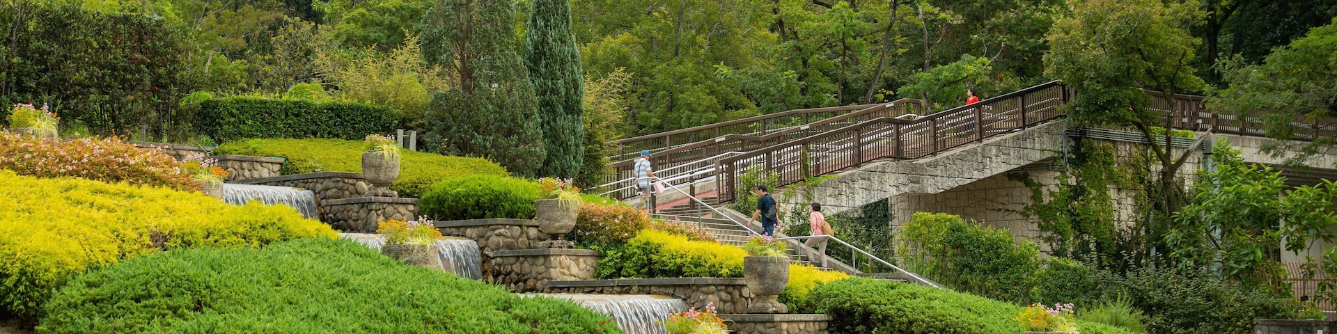 Higashiyama Zoo and Botanical Garden showing a park and a fountain