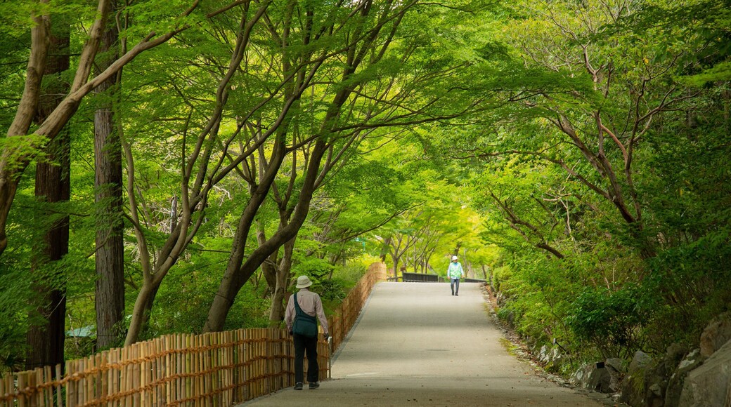 Higashiyama Zoo and Botanical Garden which includes a garden as well as an individual male