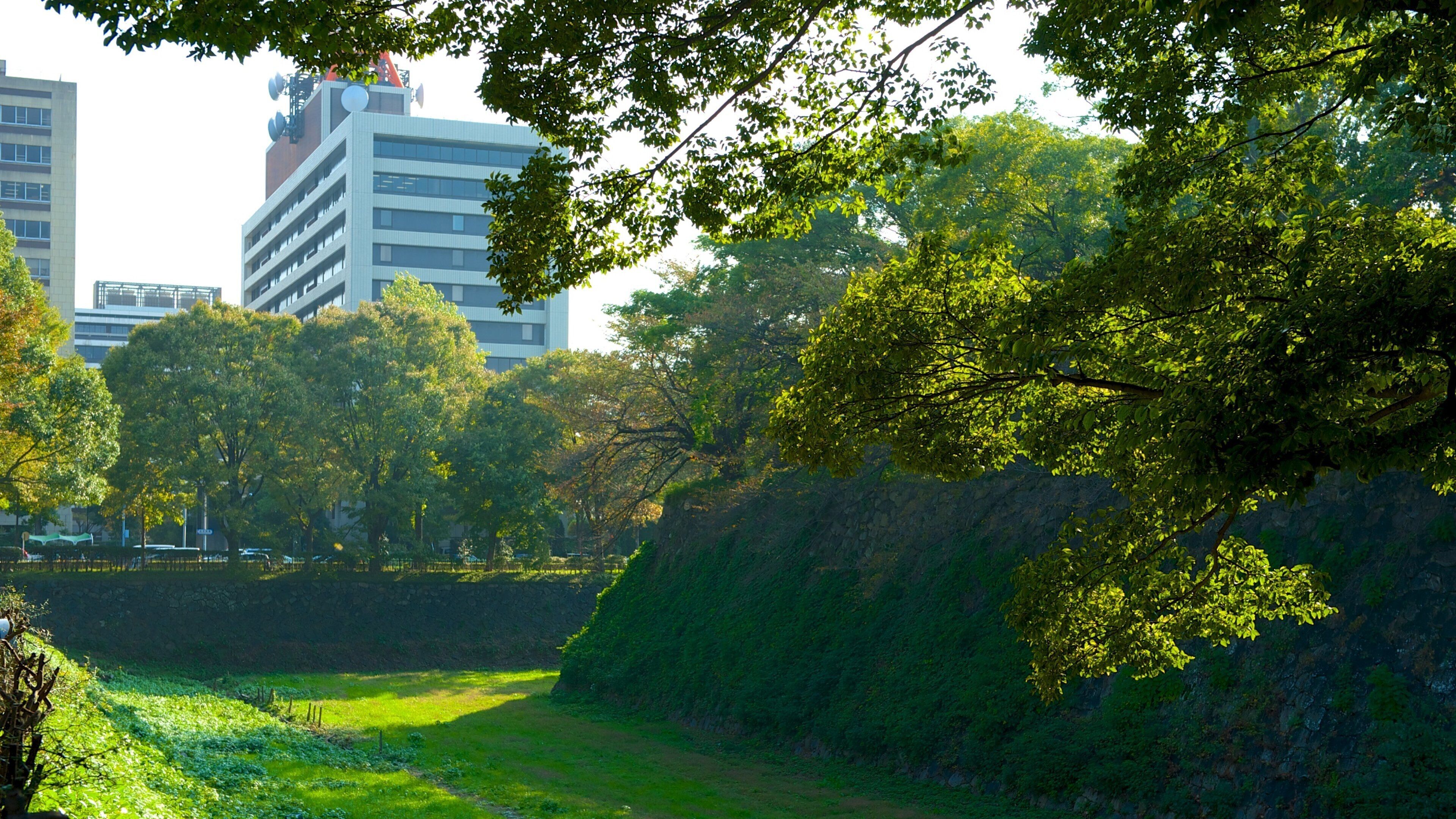 Nagoya Castle which includes a park