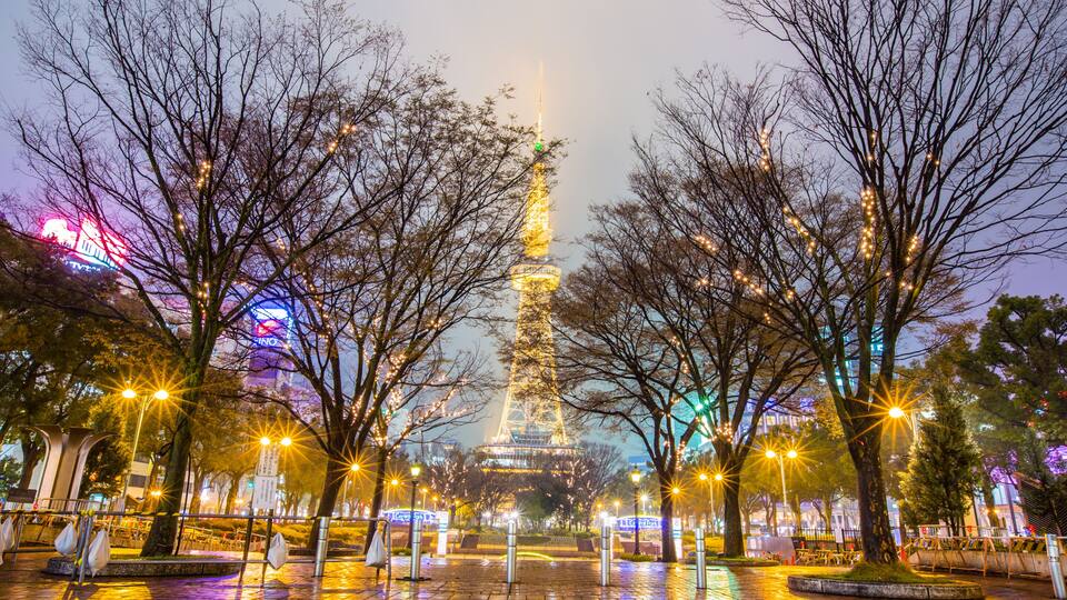 A nighttime view of a city with a prominent tower, illuminated trees, and wet pavement reflecting lights.