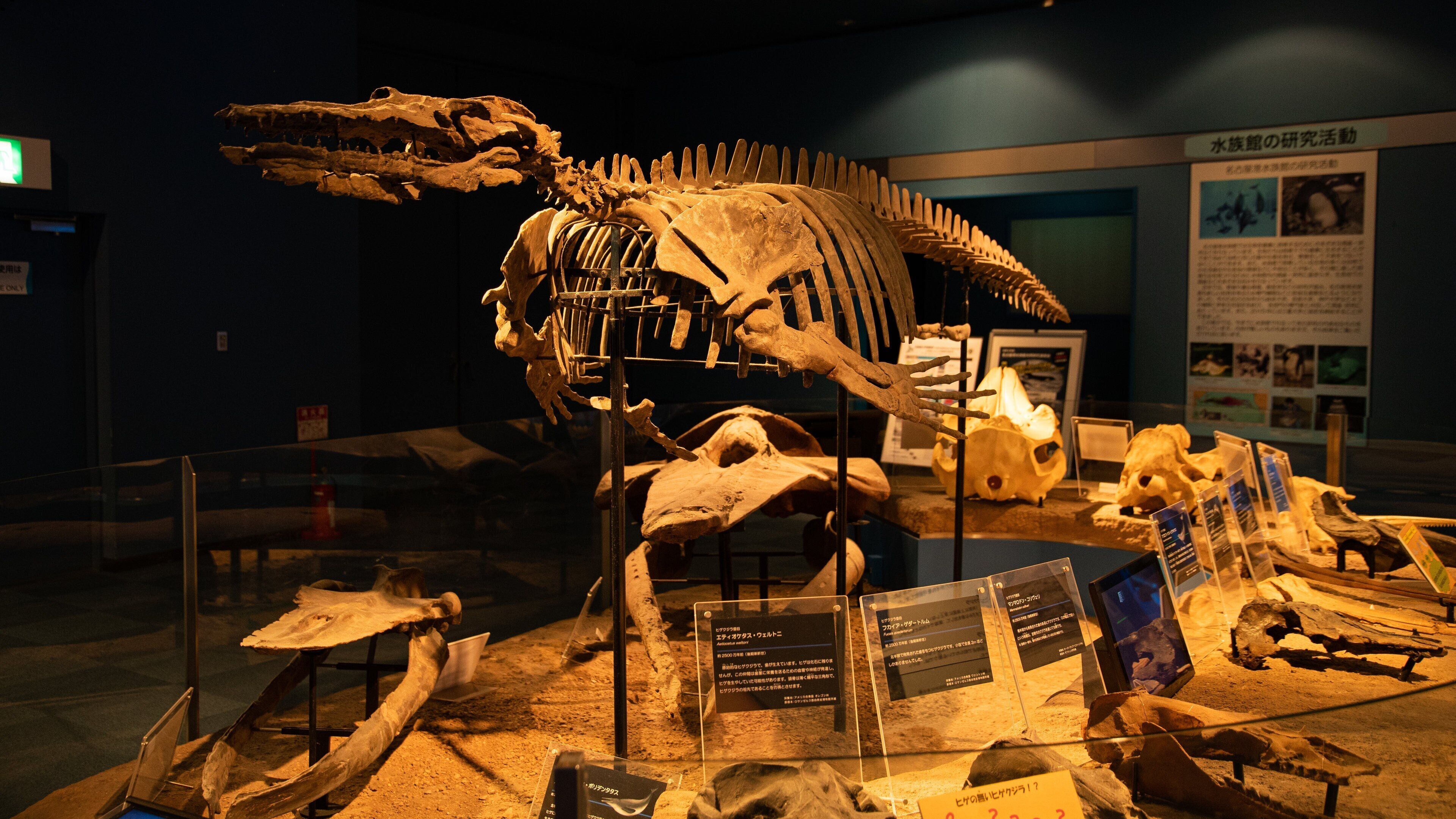 Port of Nagoya Aquarium