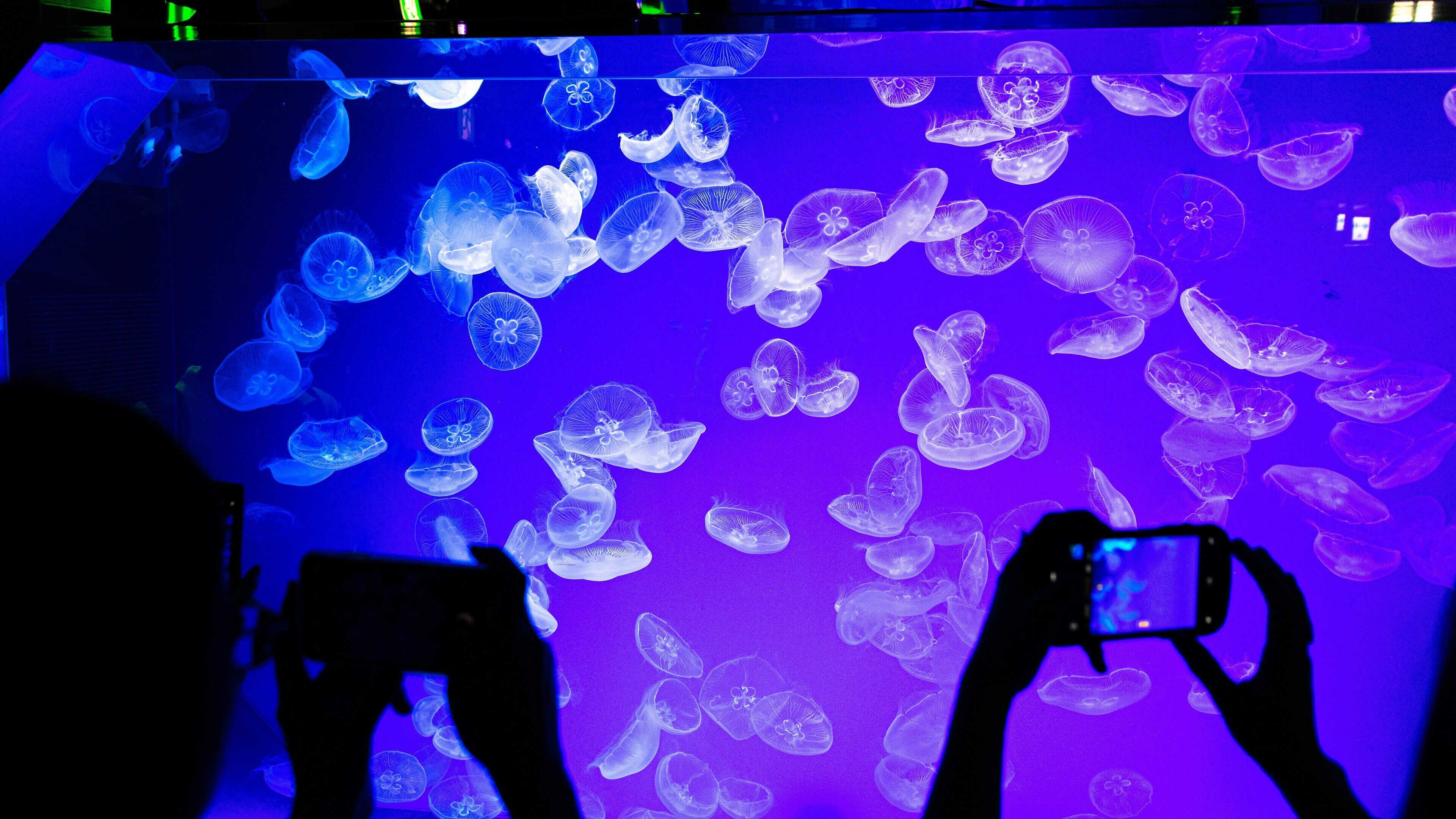 Port of Nagoya Aquarium