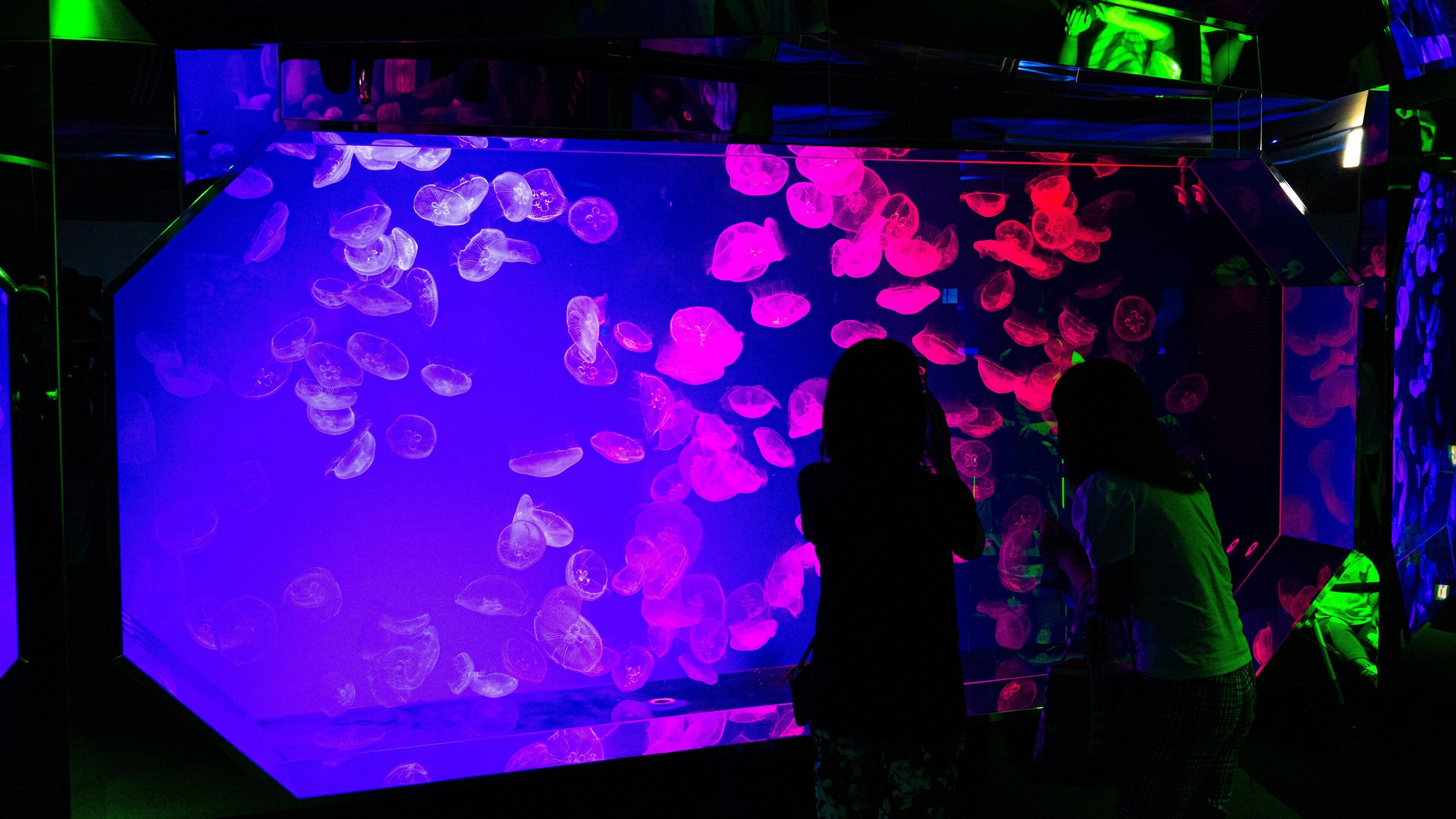 Port of Nagoya Aquarium