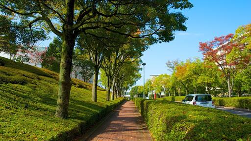 Toyota Automobile Museum featuring a garden