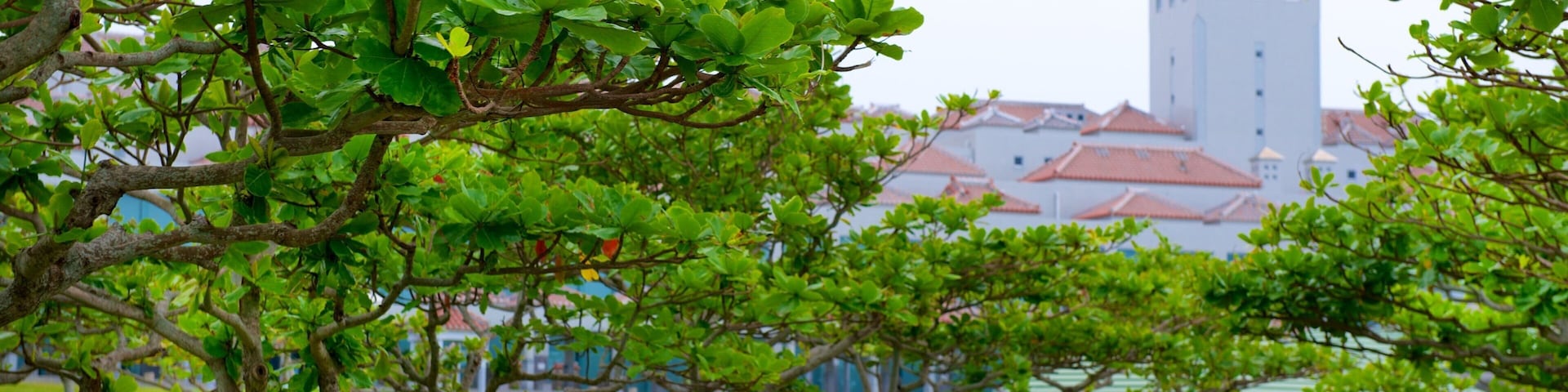 沖繩平和公園