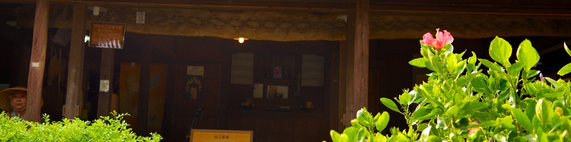 Okinawa World featuring signage