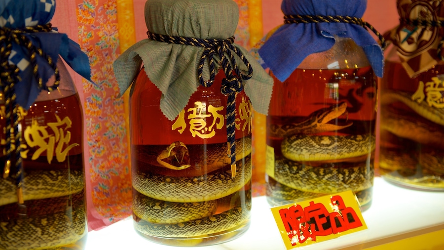 Okinawa World showing dangerous animals