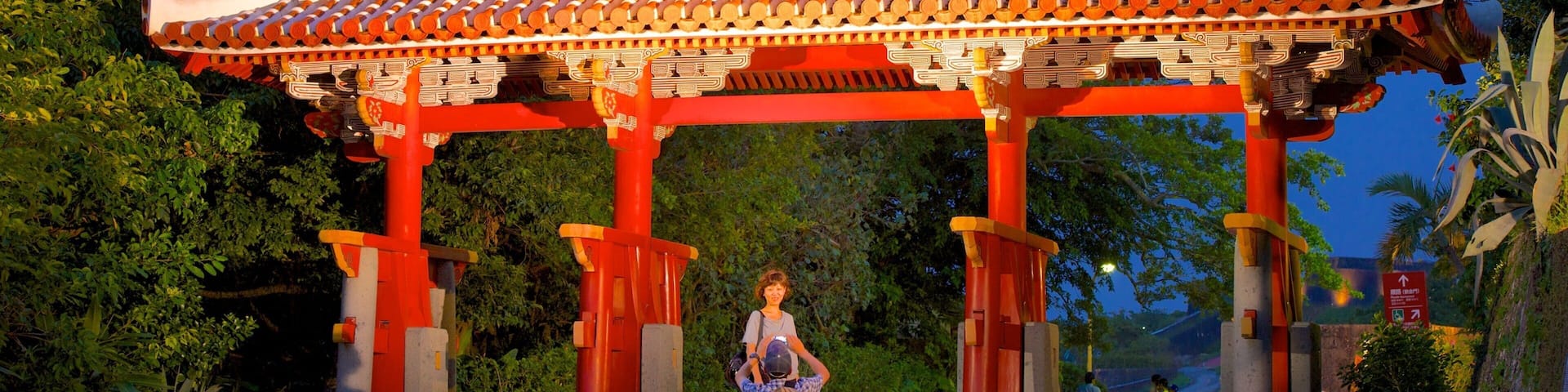 Shurijo Castle featuring night scenes and heritage architecture
