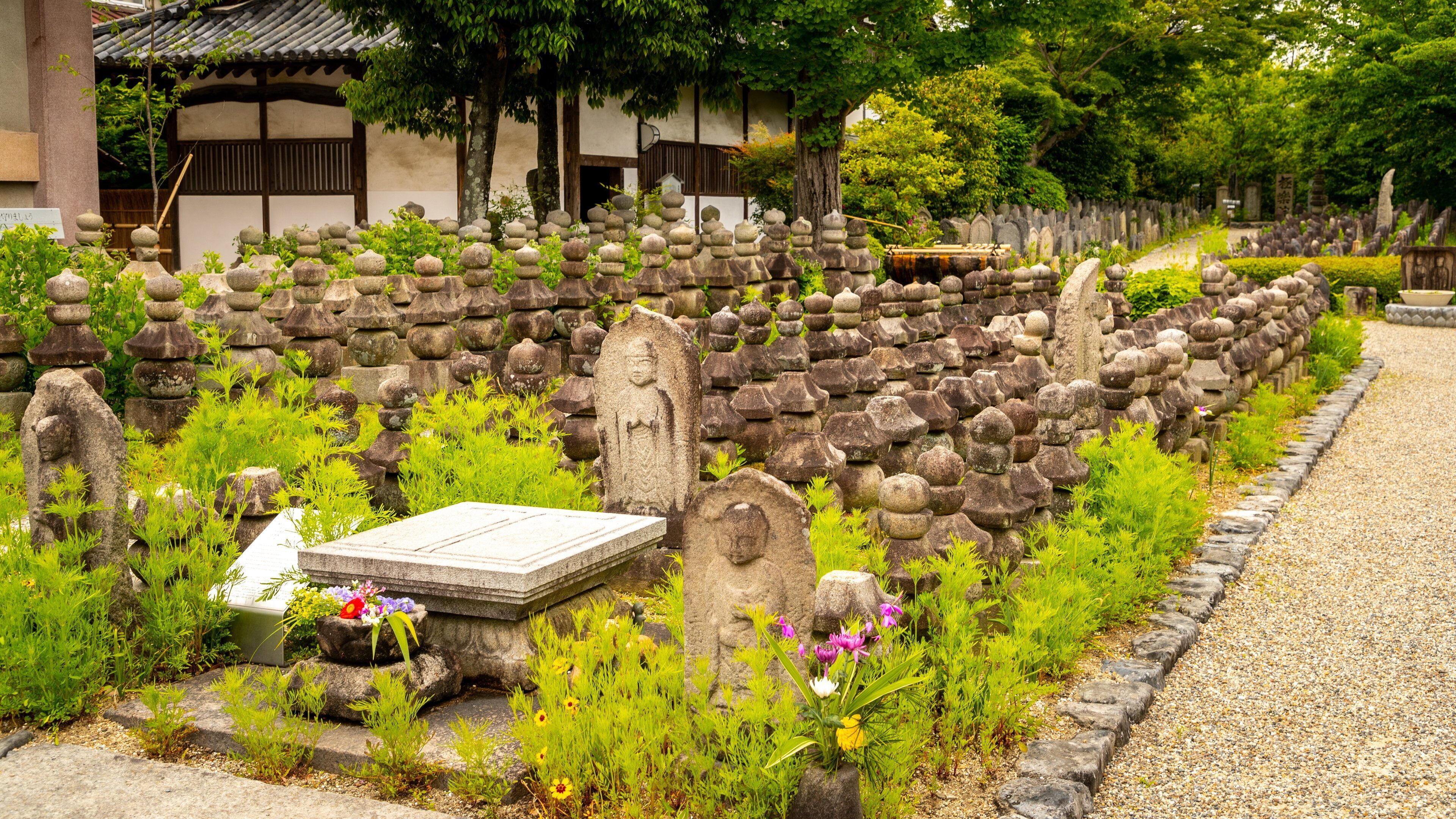 Gango-ji Temple featuring heritage elements and wildflowers