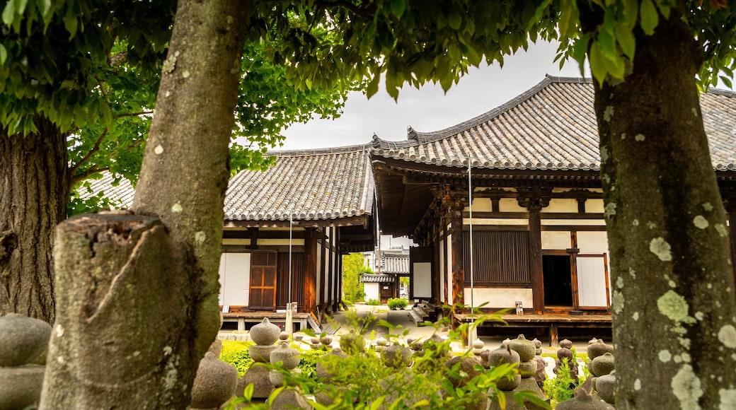 Gango-ji Temple which includes a temple or place of worship and heritage elements