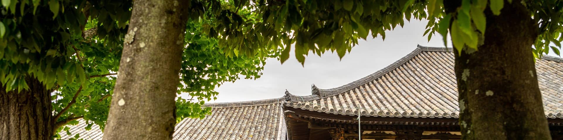 Gango-ji Temple which includes a temple or place of worship and heritage elements